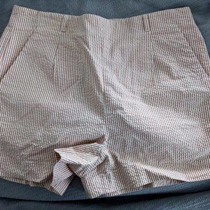 High Rise Pinstripe Shorts